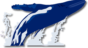 HerveyTheWhale's profile picture. The Whale Watch Capital of THE WORLD. Book your tours on-line and book accommodation WORLD WIDE.