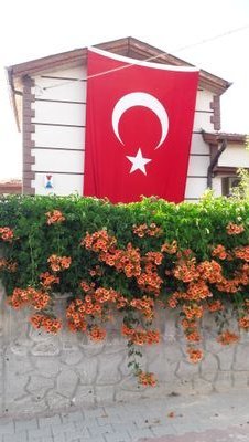 Mehmett_Aslim's profile picture. Düzülen akıllanmadıkça
DÜZEN değişmez.