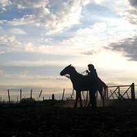 Facundo Barraza (@facundo41889933) 's Twitter Profile