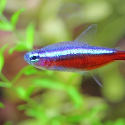 eQCsSL1sx2fSIkW's profile picture. 20卒 建築業界 明日にでも辞めたい。 気軽にフォローして下さい😇  転職失敗した説