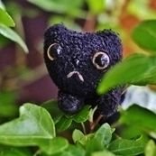 Polly 種まきから1ヶ月 がんばってます ダイソー花の種 ベランダ栽培 ラベンダー Polly 種まきから1ヶ月 がんばってます ダイソー花の種 ベランダ栽培 ラベンダー