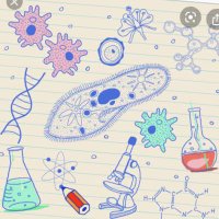 4️⃣⏰Ayşenur (@ayenur11682003) Twitter profile photo