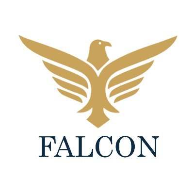 falconsgrup's profile picture. Innovative digital lending solutions. Platform that turns invoices into cash advances in a simple, fast and reliable way.
