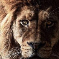 Zachry Carter (@carters_table) 's Twitter Profile
