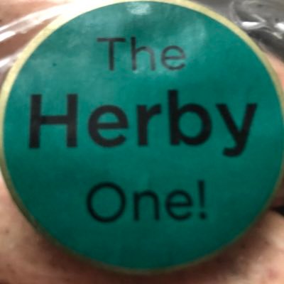 steherby's profile picture. call me herb! MCR 🐝