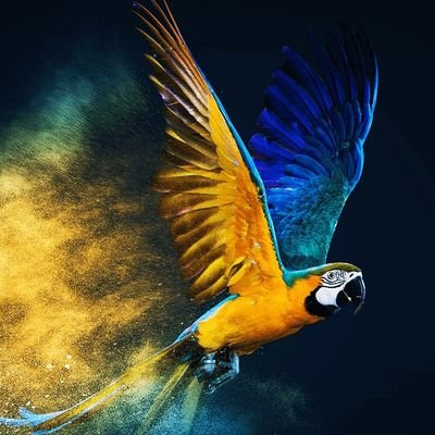 Grrounlin's profile picture. Computer Enthusiast, 

Aspiring Android Developer, #CodingNewbee

 23 years old,

i Love kids...