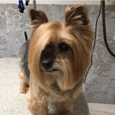 MeanderingMule's profile picture. People I follow does not mean an endorsement.