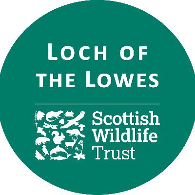 Loch of the Lowes Wildlife Reserve