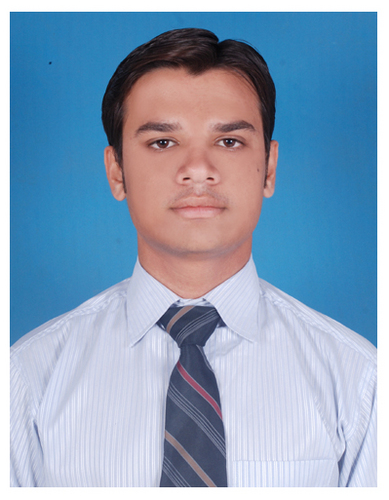Chartered Accountant