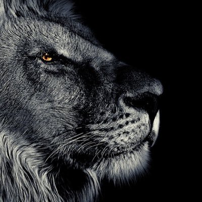 kwese15's profile picture. 