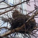 Edward WITHROW - @EdwardWITHROW5 - Twitter