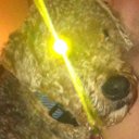 Mark Wagner - @maarkydub - Twitter