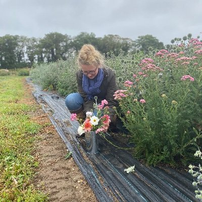 sofmountain's profile picture. SUFFOLK • Harper Graduate 2017 •