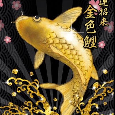 VnWWh9fMi5iulBv's profile picture. 宜しくお願いします