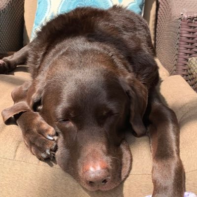 JDanielBeckman's profile picture. You only get what you give