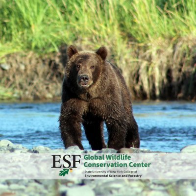 Based at SUNY ESF. We collaborate with partners worldwide to address urgent conservation challenges facing wildlife and their habitats through applied science.