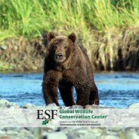Global Wildlife Conservation Center (@globalwild_cc) 's Twitter Profile