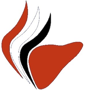 iwaked's profile picture. 