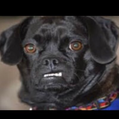 sarahjaney78's profile picture. 