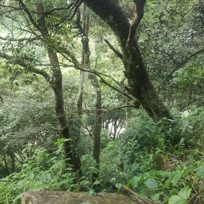 charlesNgari7's profile picture. 