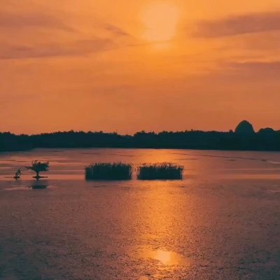 Lucy96012977's profile picture. Nothing