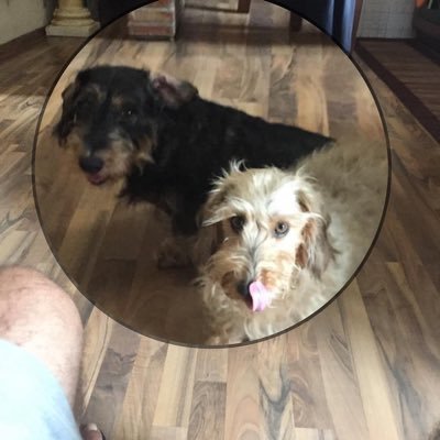 antonellipm's profile picture. .