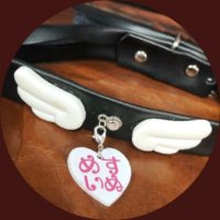 えむっ娘ラボ【公式】 (@mko_labo) 's Twitter Profile