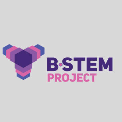 B~STEM Project Profile