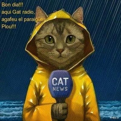 nuriamar_guasch's profile picture. Enamorada d'aquest petit país.  Tot està per fer i tot és possible. RT no és conformitat.  Donec Perficiam.