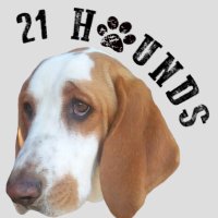 21 Hounds Production(@21Hounds) 's Twitter Profile Photo