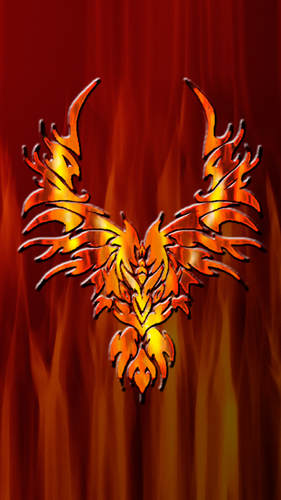 westportm's profile picture. 