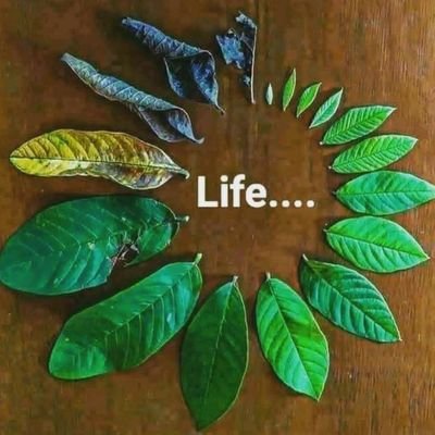 NgashTheArtist's profile picture. Jesus, Family, Arsenal, Cold pizza with PINEAPPLES……….. Real men fight on their Knees ……..LIVE, LOVE, LAUGH