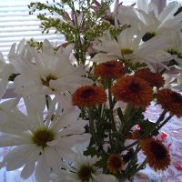 Karen Danner (@karendanner18) 's Twitter Profile