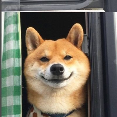 adamsky172727's profile picture. 