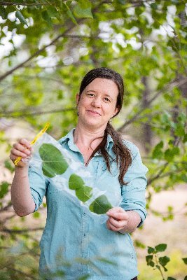 Assoc Prof in aquatic ecology and evolution @nau_ses. Ecological consequences of trait variation in puddles, ponds, streams. 🇨🇦 https://t.co/NExaMPIRYi