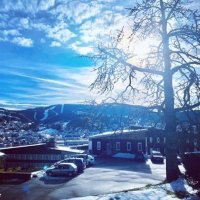 Cité Scolaire La Haie Griselle (@grisellehaie) 's Twitter Profile