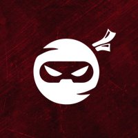 🥷Ninja Academy FPS🥷 (@ninjaacademyfps) 's Twitter Profile