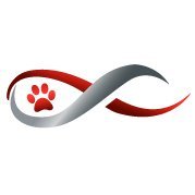 DVM Focus (@dvmfocus) 's Twitter Profile