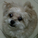 Indra Putra Wendi - @doma1994 - Twitter