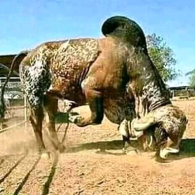 B2dazee's profile picture. I wish things were different