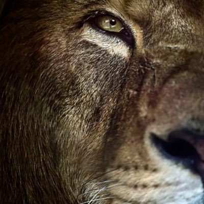 AshishM38416501's profile picture. छोरा गंगा किनारेवाला !