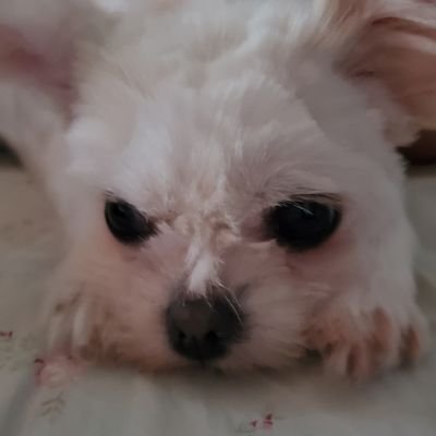 cyberfiles2's profile picture. pp