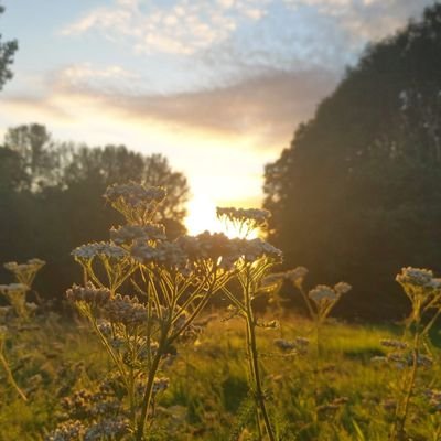 3.5 acre smallholding in Worcestershire, moving to self sufficiency and taking care of the land in a nature friendly way.