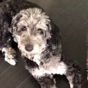 Kyle Tracy - @TheeKyleTracy - Twitter