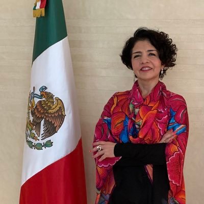 Ambassadrice du 🇲🇽 auprès de 🇲🇦🇸🇳🇬🇼🇲🇱🇨🇮 Ancienne ambassadrice auprès de 🇦🇷🇬🇹 Toujours à l’écoute des nouveautés gastronomique et du cinéma.