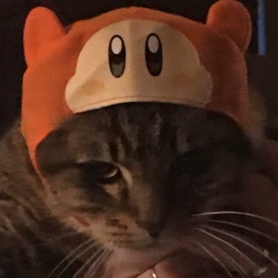 eloel_ok's profile picture. yikes                    (t/t)