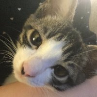 Lucia (@luciluci_1010) 's Twitter Profile Photo