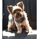 Mandy M Brown - @MandySunBrown - Twitter