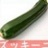 zucchini0809