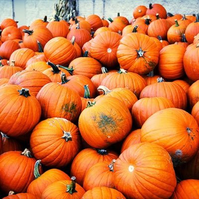 pumpkin92724118's profile picture. 